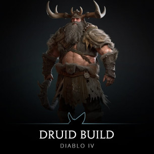 Druid Build