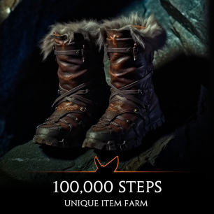 100,000 Steps