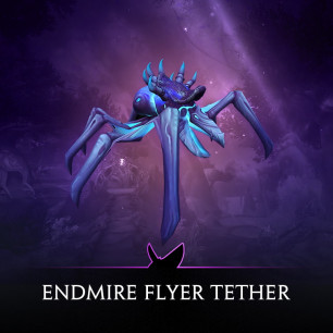 Endmire Flyer Tether