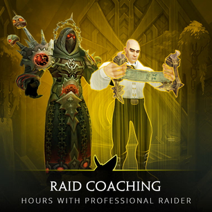 Raid Coaching Service