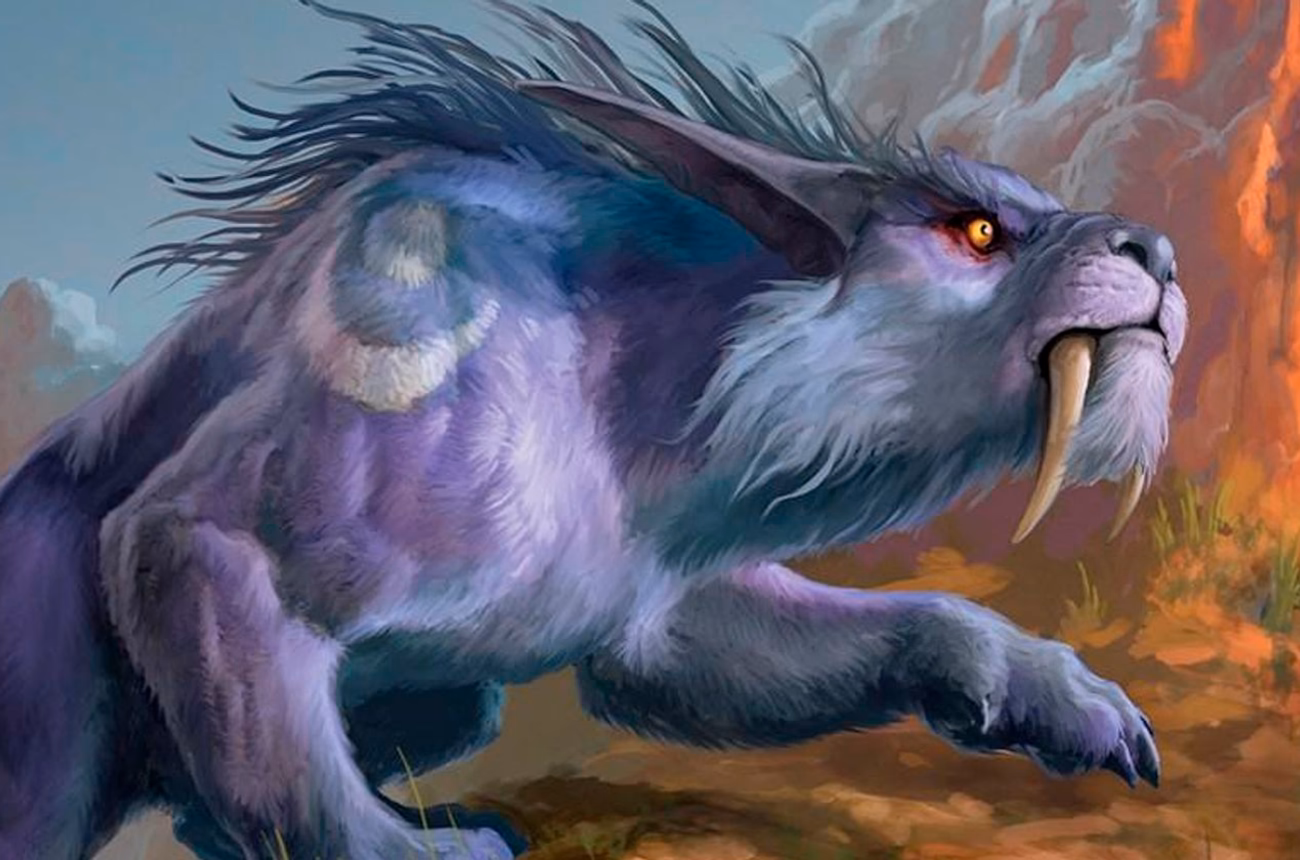 Feral Druid DPS Guide - WoW SoD