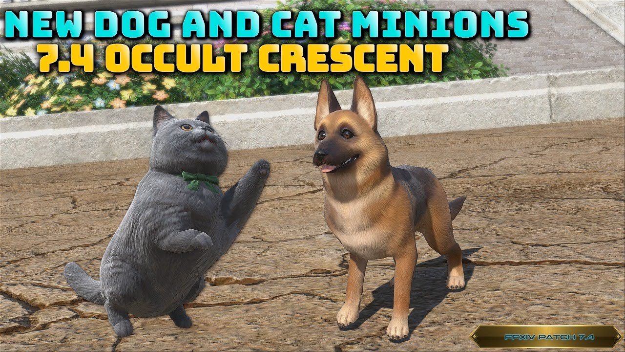 FFXIV 7.4: Discover New Cat and Dog Minions