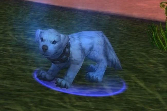 How to Get Arfus and The Lick King Achievement in WoW