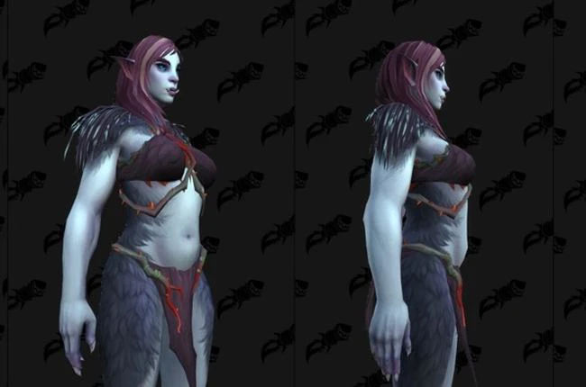 Possible Allied Race in Harronir - Customization Options in War Within?