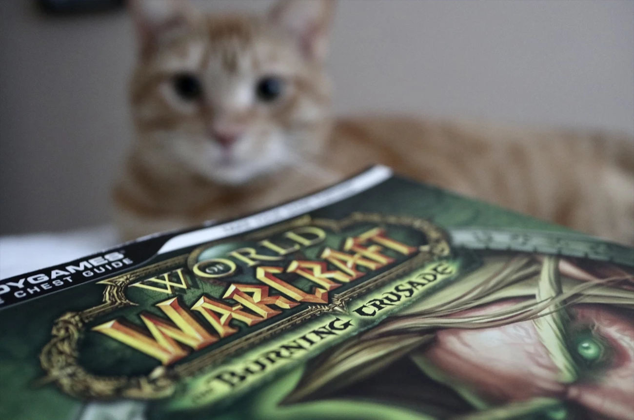 Is World of Warcraft One of The Oldest Forms of Computer Gaming?