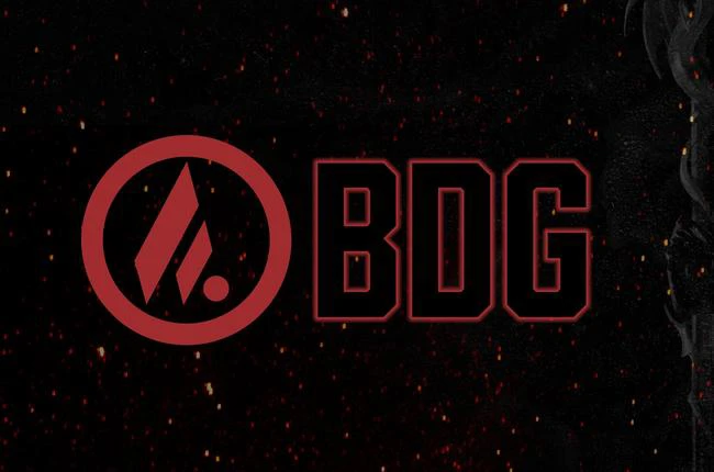 Big Dumb Guild Announces Departure from Competitive Raiding