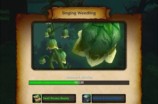 Farming Infinite Dream Wardens Reputation from Seeds in Emerald Dream