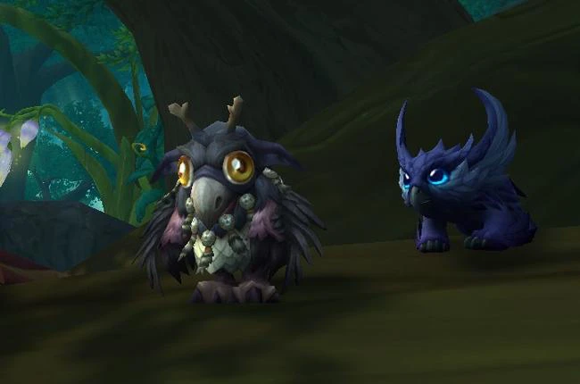 Achieve the Friends in Feathers Award for the Battle Pet Blueloo