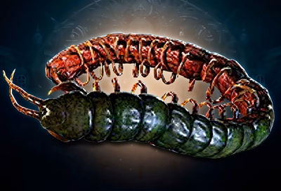 PoE 2 Ryslatha's Coil unique belt