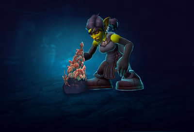 WoW Classic Anniversary Herbalism Carry Service