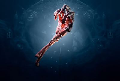 PoE 2 Sacred Flame for Sale