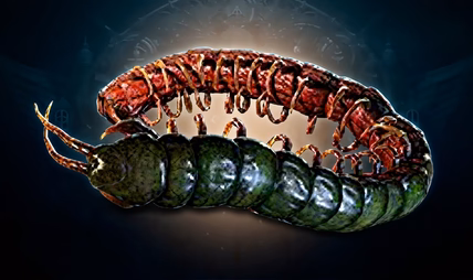 PoE 2 Ryslatha's Coil unique belt