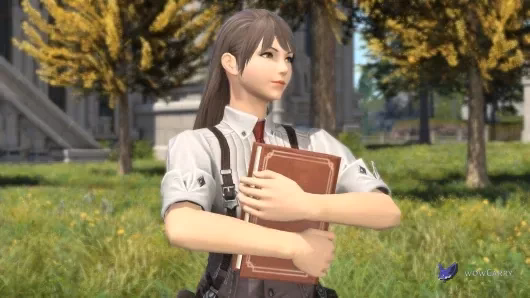 Square Enix’s FFXIV preview of an adventurer holding a book with the Carry Book emote